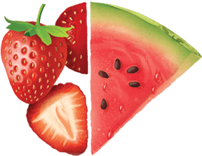 Fraise Melon 2