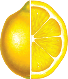 Lemonade 2